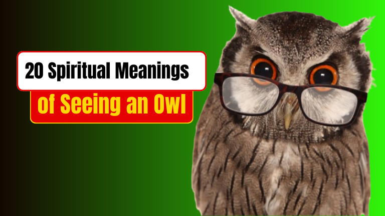 Spiritual Meanings of Seeing an Owl